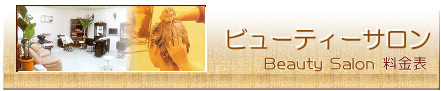 �r���[�e�B�T���� Beauty Salon�@�����\